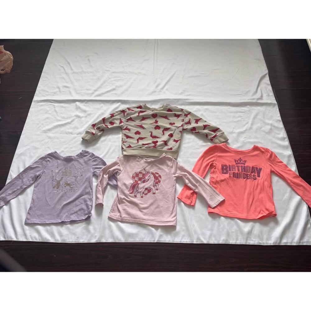 Toddler Girl Clothes Bundle Lot 4 Long Sleeve Tops Sweatshirt Size 2T 3T